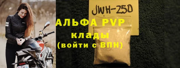 прущие грибы Медногорск