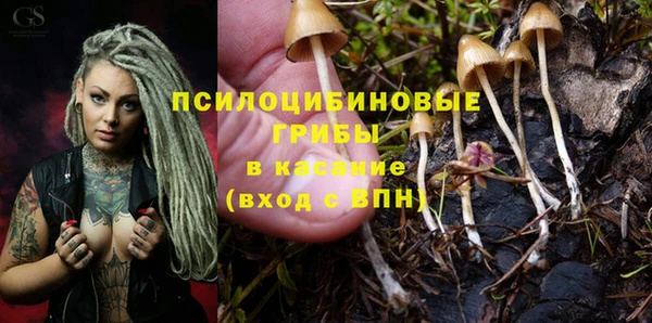 индика Абдулино