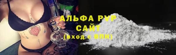 стаф Абаза