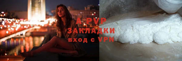 стаф Абаза