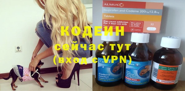 стаф Абаза